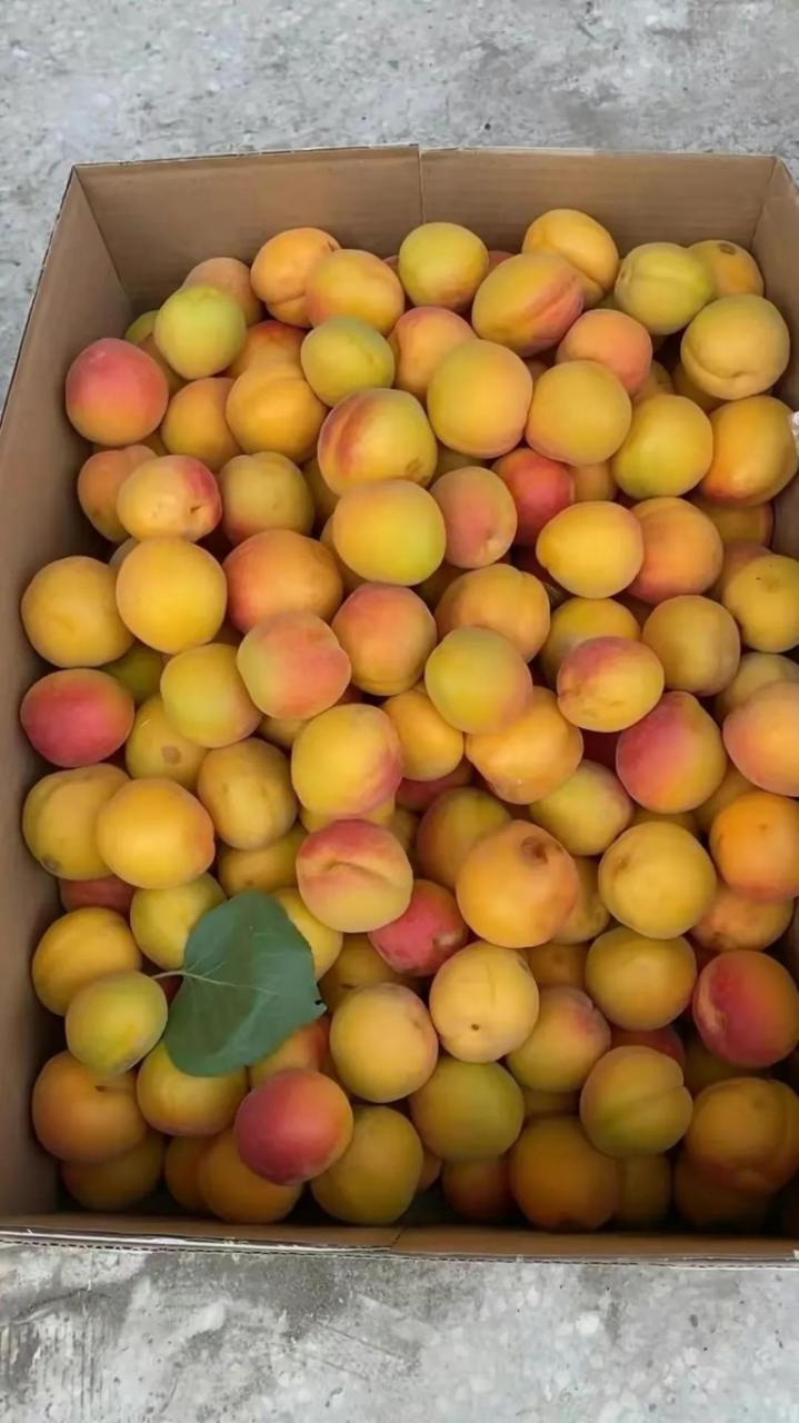 夏天里最适宜的兰州小吃有哪些?7