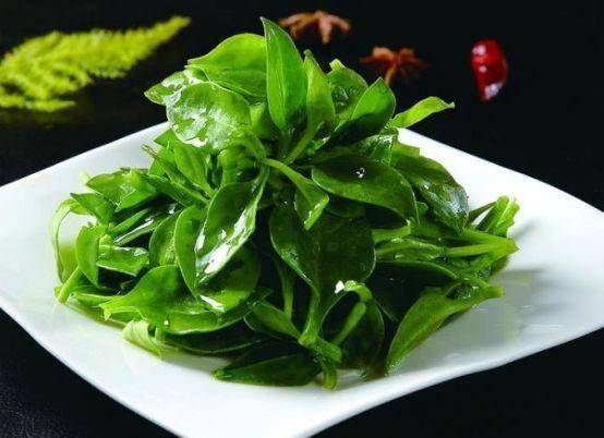 31道精致菜肴分享：简单烹饪保留食材原味，开开心心吃好每一餐 1